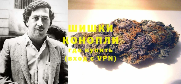 стаф Пестово