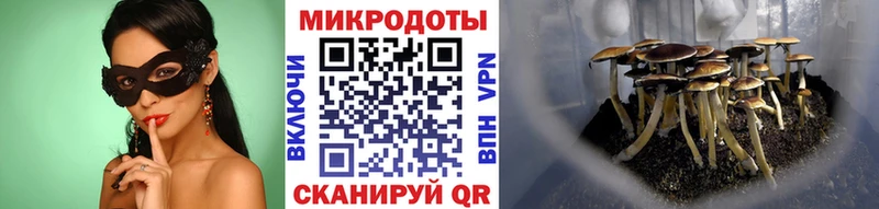 Псилоцибиновые грибы ЛСД  ссылка на мегу ссылка  Собинка 
